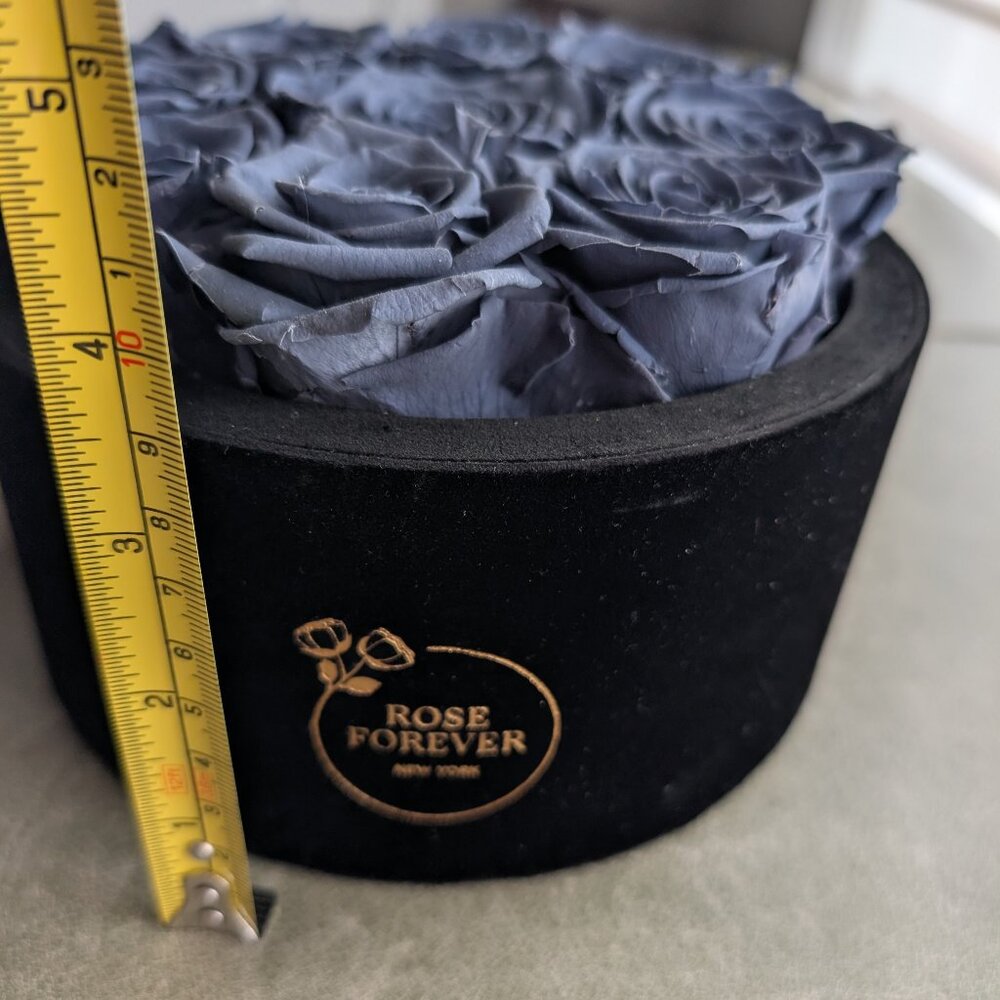 Rose Forever Preserved Roses - Picture 5 of 7